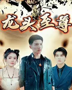 龙头至尊