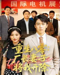重生八零:厂长妻子将我开除