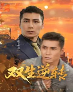 双生逆转