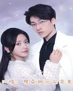 闪婚:穆总的心尖宠妻