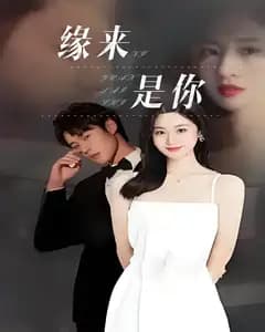 缘来是你