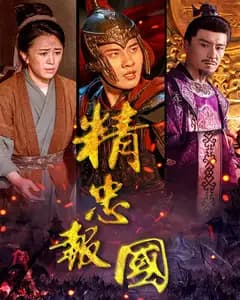 精忠报国