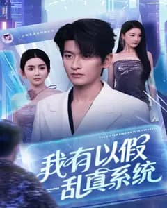 我有以假乱真系统