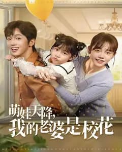 萌娃天降,我的老婆是校花