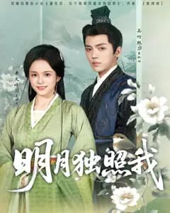 明月独照我