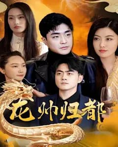 龙帅归都
