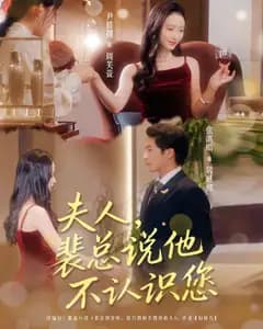 夫人,裴总说他不认识您