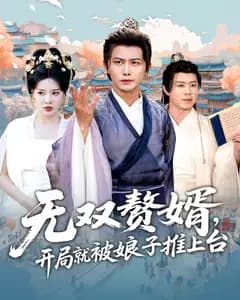 无双赘婿,开局就被娘子推上台
