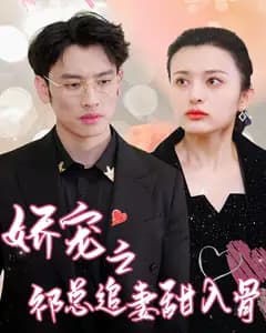 娇宠之祁总追妻甜入骨