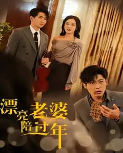 漂亮老婆陪过年