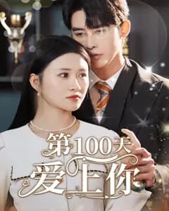 第100天爱上你