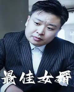 最佳女婿