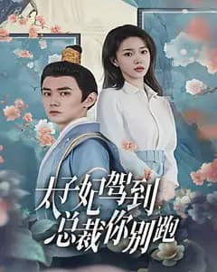 太子妃驾到,总裁你别跑