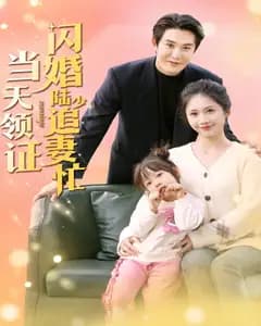 当天领证,闪婚陆少追妻忙