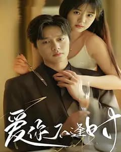 爱你不逢时