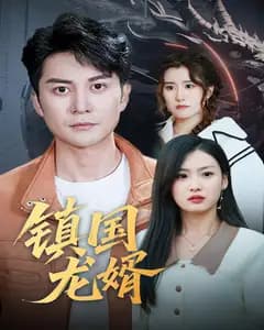 镇国龙婿