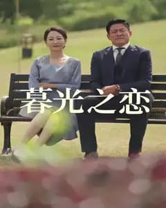 暮光之恋