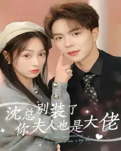 沈总别装了你夫人也是大佬