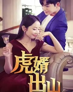 虎婿出山