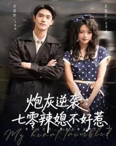 炮灰逆袭:七零辣媳不好惹