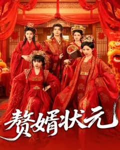赘婿状元