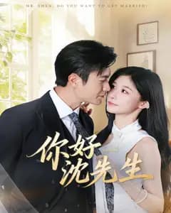 你好沈先生