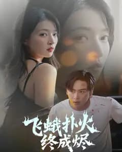 飞蛾扑火终成烬