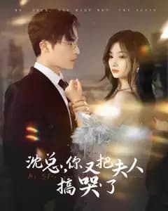 沈总,你又把夫人搞哭了