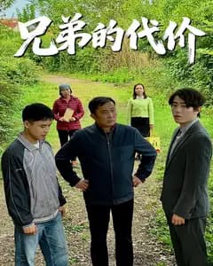 兄弟的代价