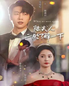 陆夫人,二胎了解一下