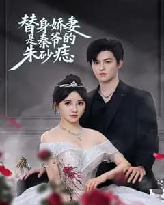 替身娇妻是秦爷的朱砂痣