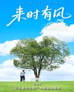 来时有风