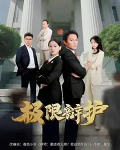 极限辩护