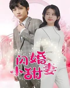 闪婚小甜妻