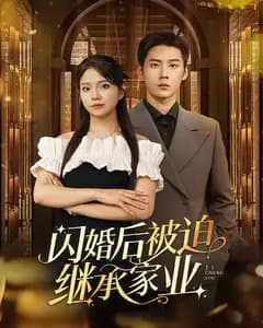 闪婚后被迫继承家业