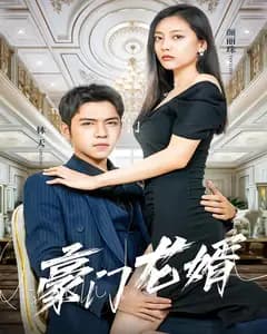 豪门龙婿