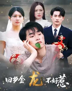 回乡金龙不好惹