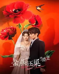 金燕还巢当感恩
