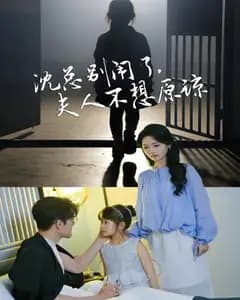 沈总别闹了,夫人不想原谅