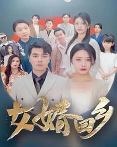 女婿回乡