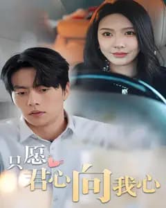 只愿君心向我心