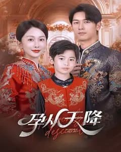 孕从天降