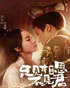 只见相思不见君