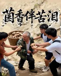 菌香伴苦泪