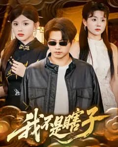 我不是瞎子