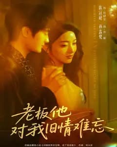 老板他对我旧情难忘