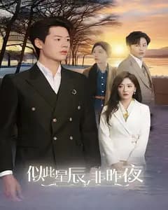 似此星辰,非昨夜