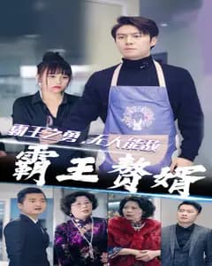霸王赘婿