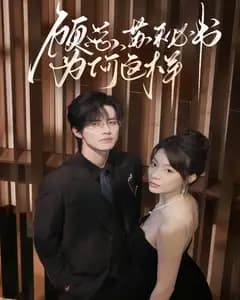顾总,苏秘书为何这样