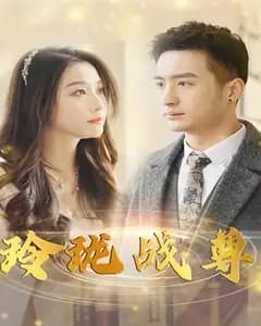 玲珑战尊